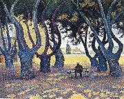 plane trees place des lices Paul Signac